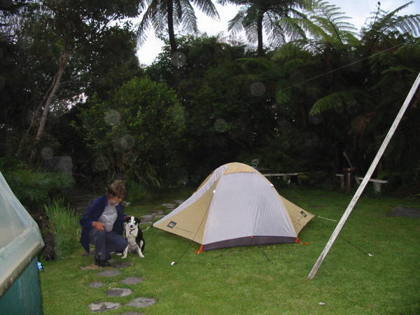 Tent in Lesley's garden