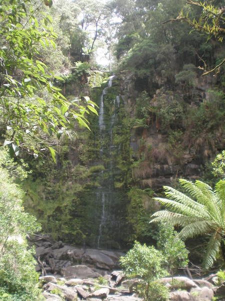  The Erskine Falls - or trickle