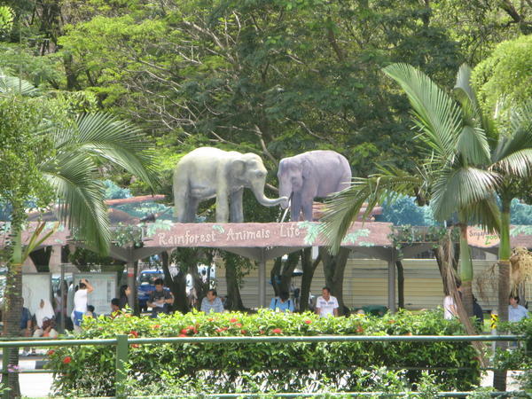 Elephant bus shelter.