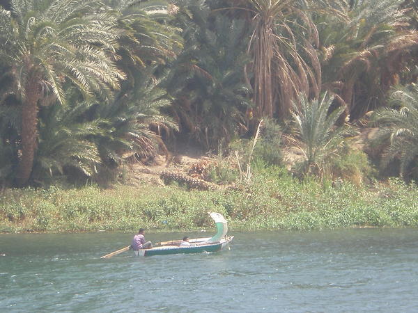Man and son making use of wind on Nile above Luxor