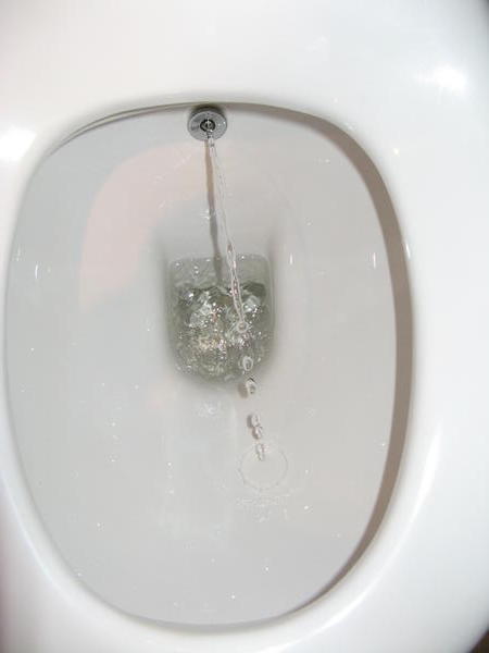 Posh toilet with waterjet 