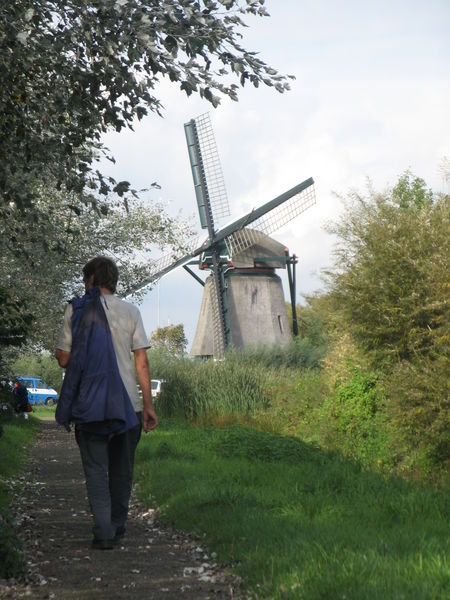 Windmill on the edge of Haarlem
