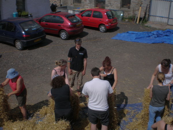 Sorting out bales