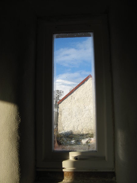 Through the study window