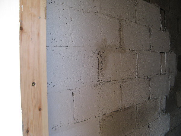 Limewashing straight on to block walls in larder