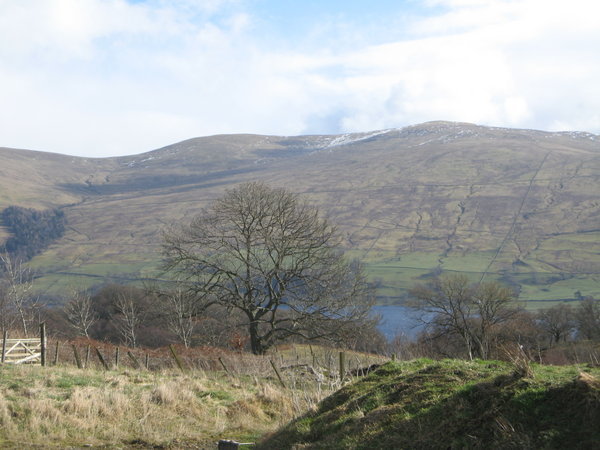 View towards loch