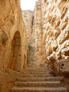 Ajloun Castle (2)