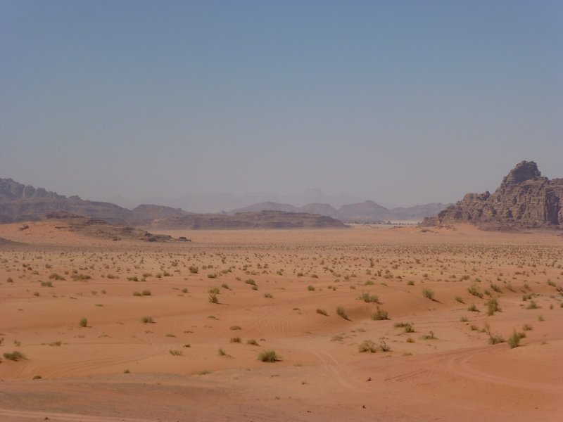 Gorgeous Desert