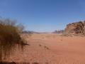 Gorgeous Wadi Rum