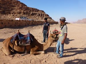 My Camel and the  handlers