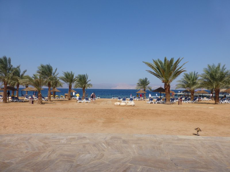 Beach at the Red Sea (2)