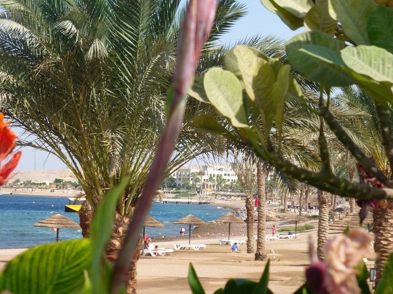 Resort at the Red Sea (2)