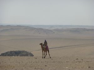 Camel and Rider