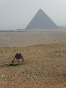 At the pyramids (4)