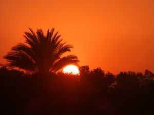 Beautiful Sunset on the Nile