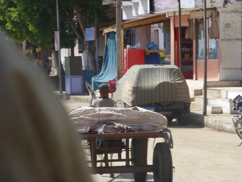 A boy and his cart in Edfu