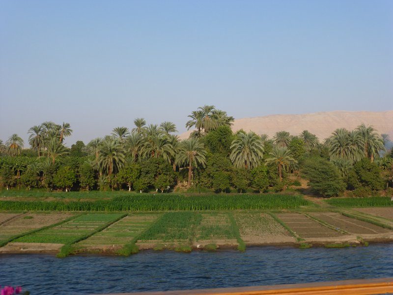 Along the Nile (2)