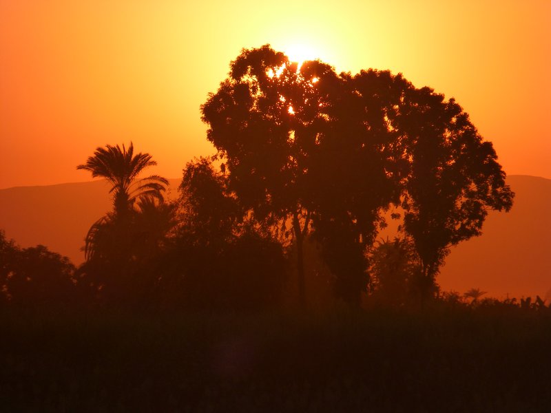 Nile Sunset (5)