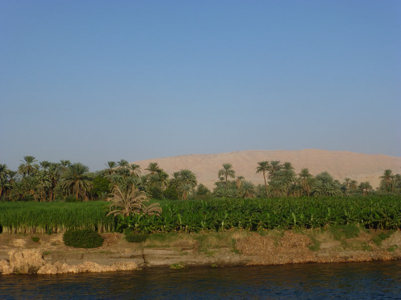 Nile shoreline