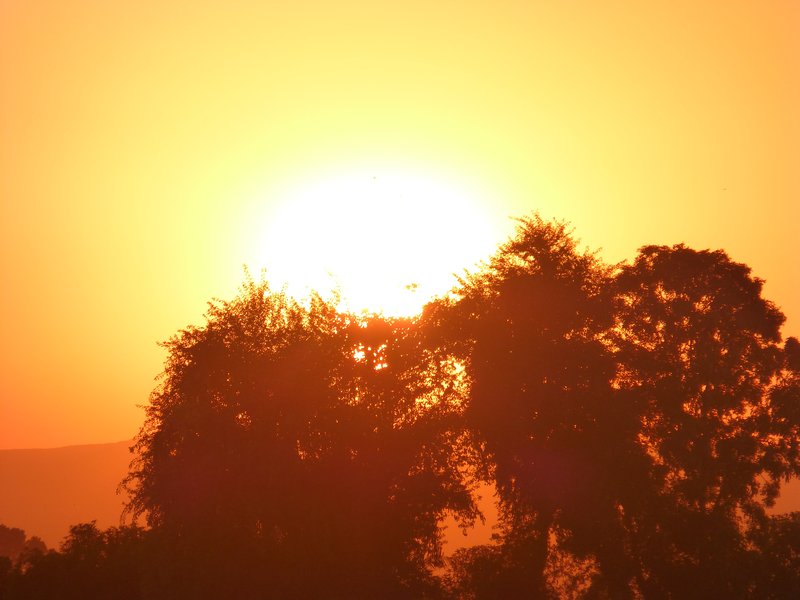 Nile Sunset (8)