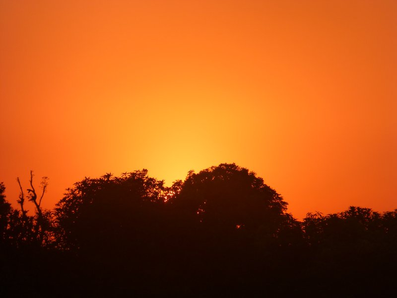 Nile Sunset (14)