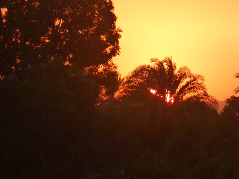 Nile Sunset (19)
