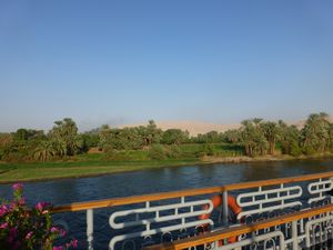 Floating on the Nile