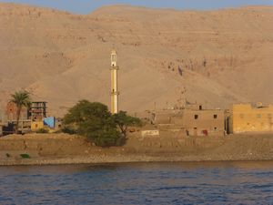 Shoreline of the Nile