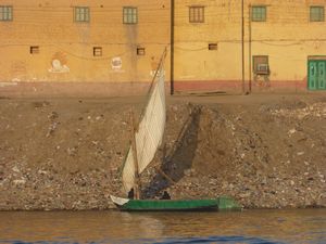 Shoreline of the Nile (2)