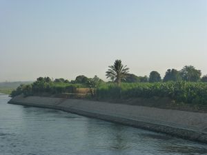 The Shoreline along the Nile