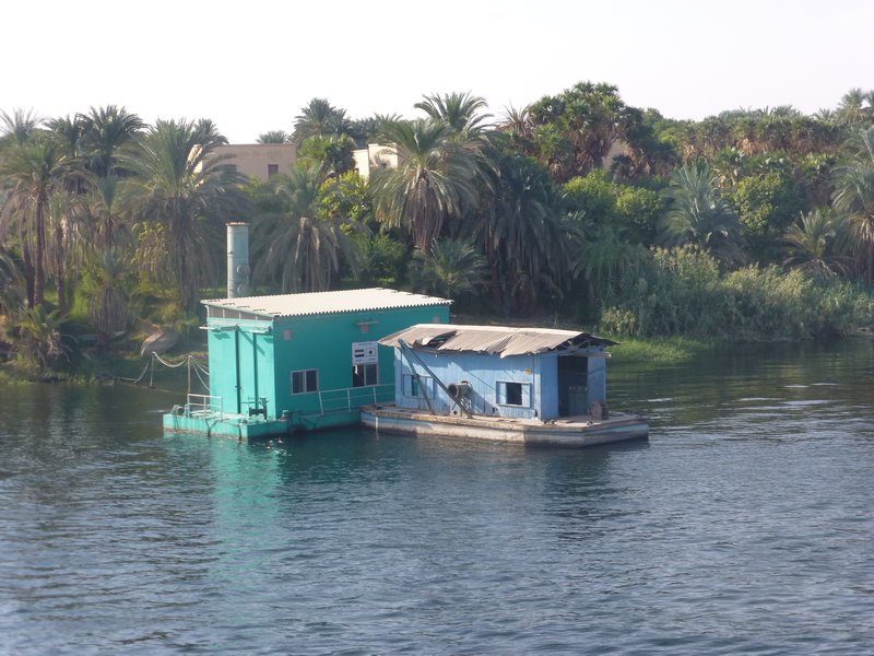 Along the Nile (8)