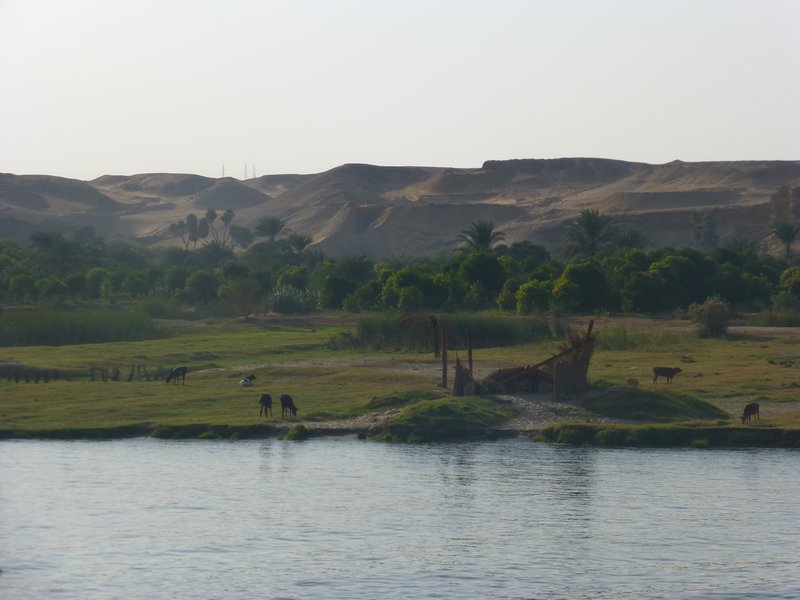 Life On the Nile (17)