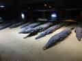 Crocodile Mummie Museum