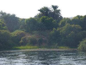 Along the Nile (9)