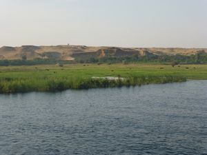 Along the Nile (11)