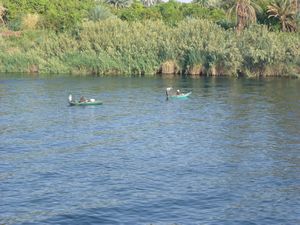 Life On the Nile (12)