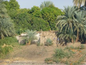 Life On the Nile (16)