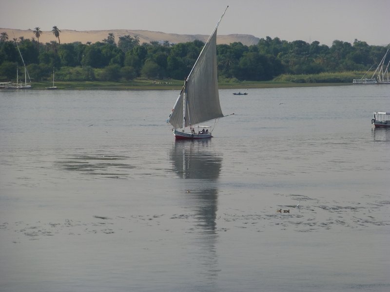 Boats on the Nile (11)