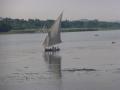 Boats on the Nile (9)