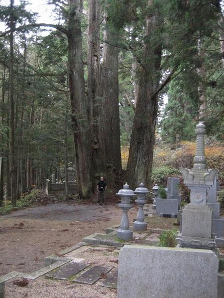Koyosan Graveyard