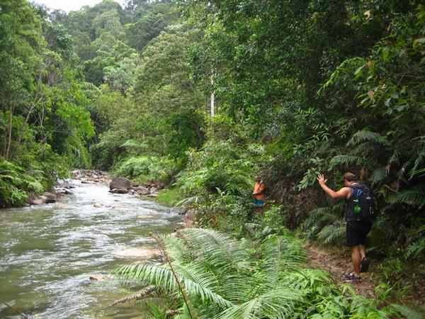 Jungle Trek To Chilang Waterfall