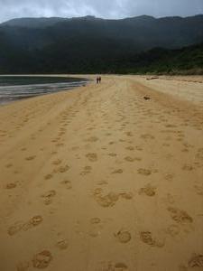 Follow the Footprints...