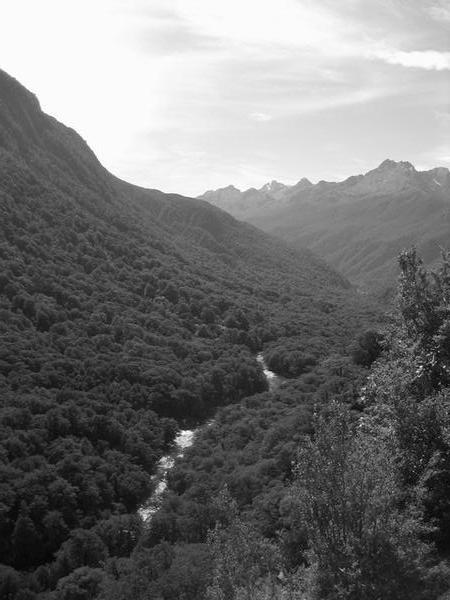 On the Road To Milford Sound