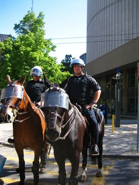 Horse Cops