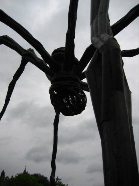 Big Freaky Spider