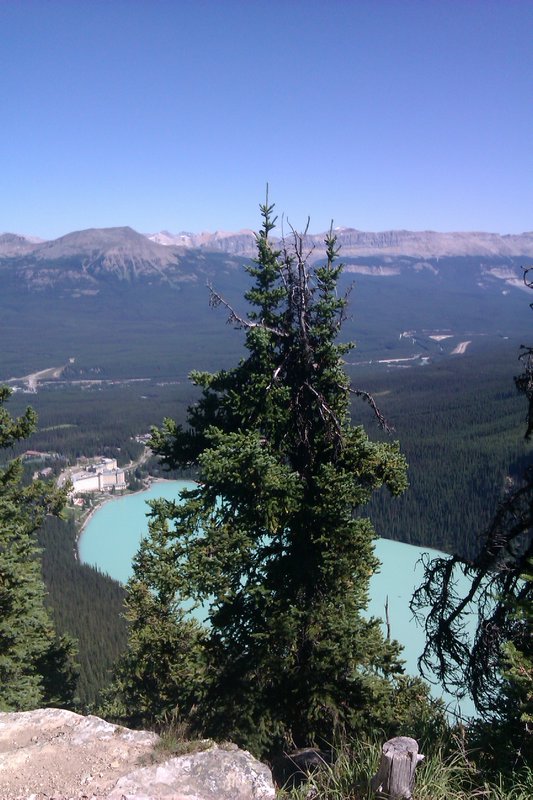 Lake Louise from top of Big Beehive