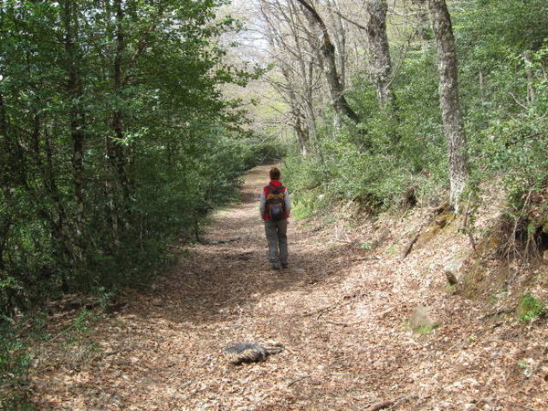 Nebrodi Trail