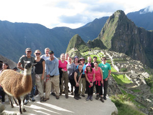 The group and a Llama