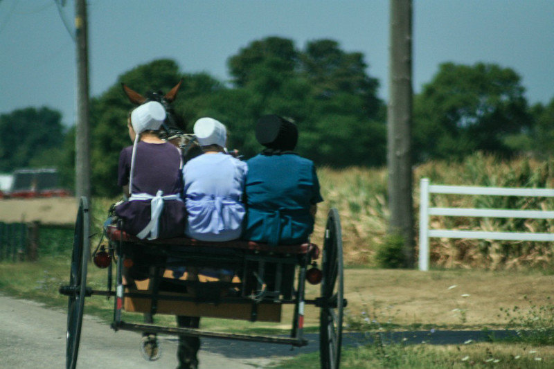 Amish of Arthur, Illinois