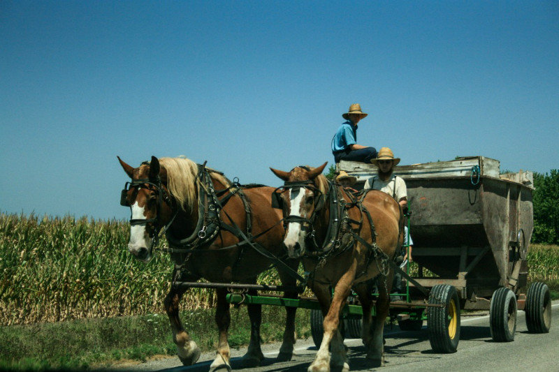 Amish of Arthur, Illinois